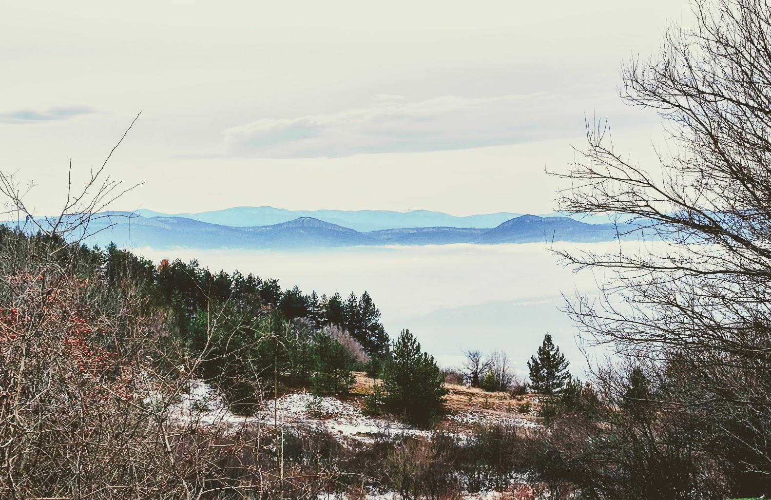 Snow-dusted woodland above a mist-filled valley and distant mountain ridges.