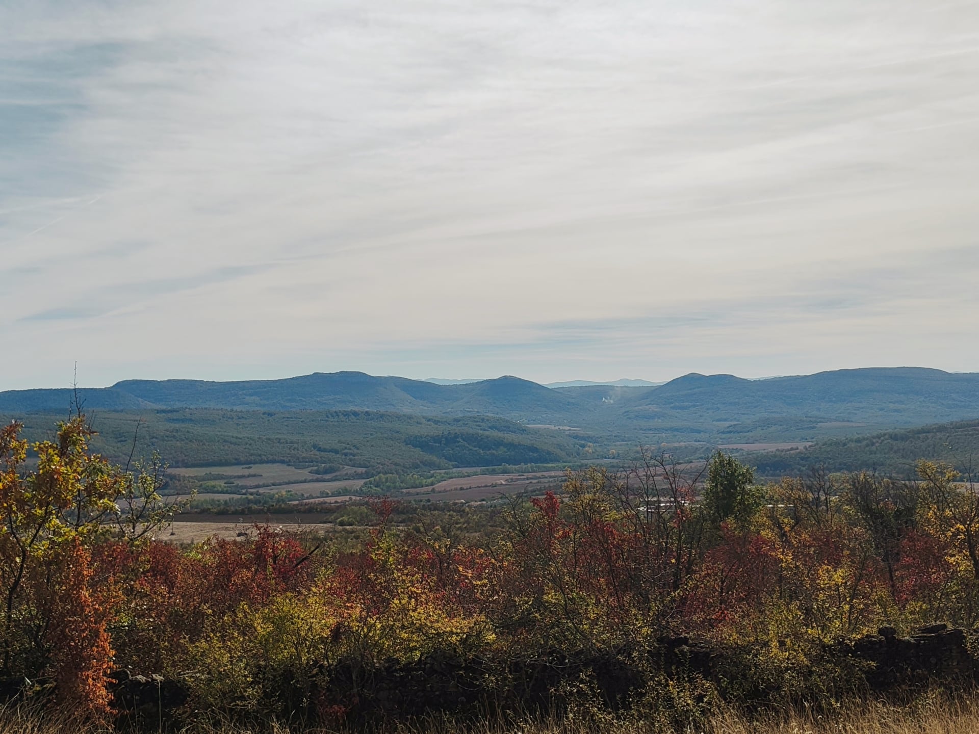 Autumn woodland overlooking a broad valley and distant hills.