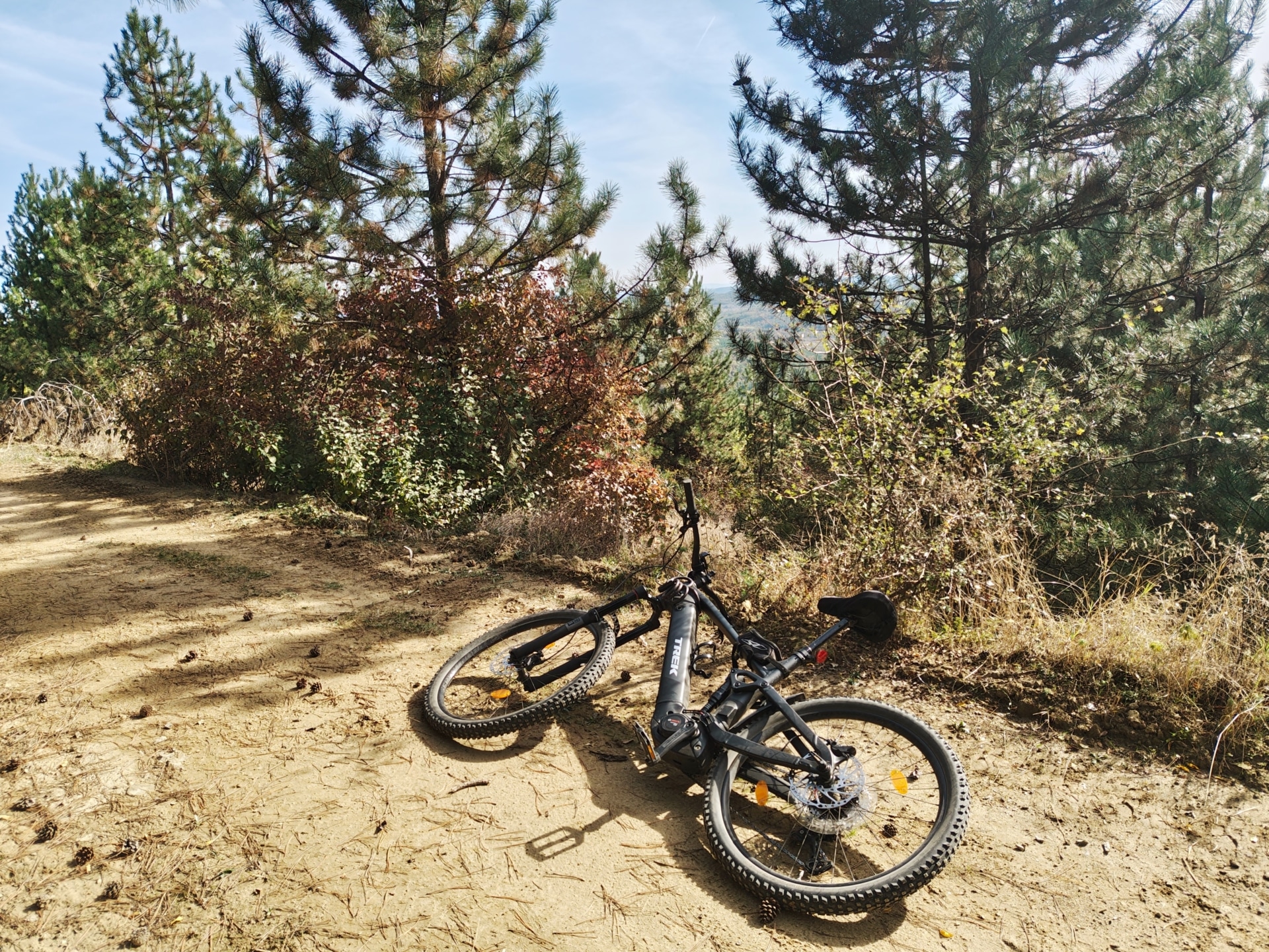 A mountain bike resting on a sunlit dirt trail among pine trees.