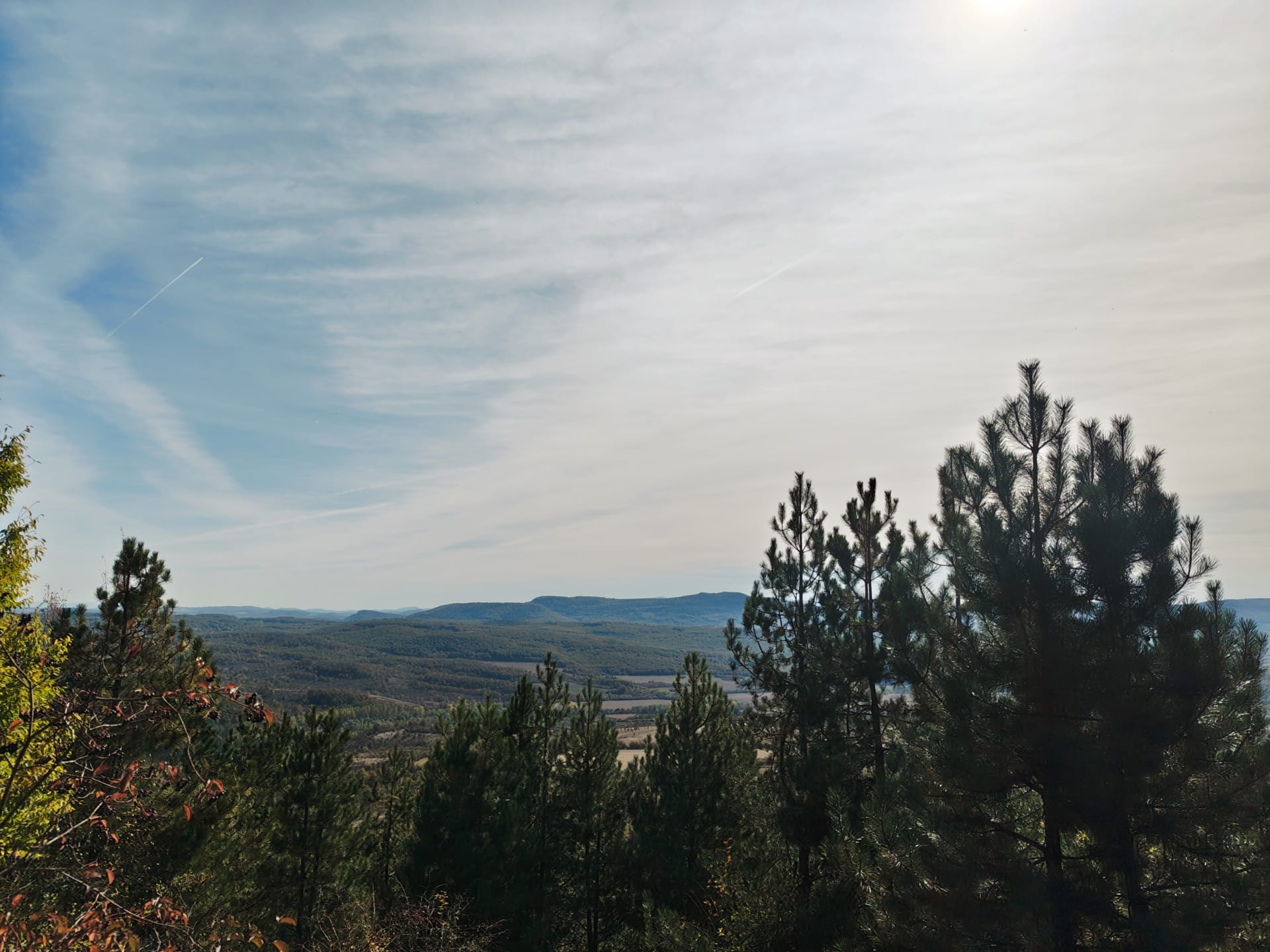Pine trees overlooking a wooded valley beneath a cloud-streaked sky.