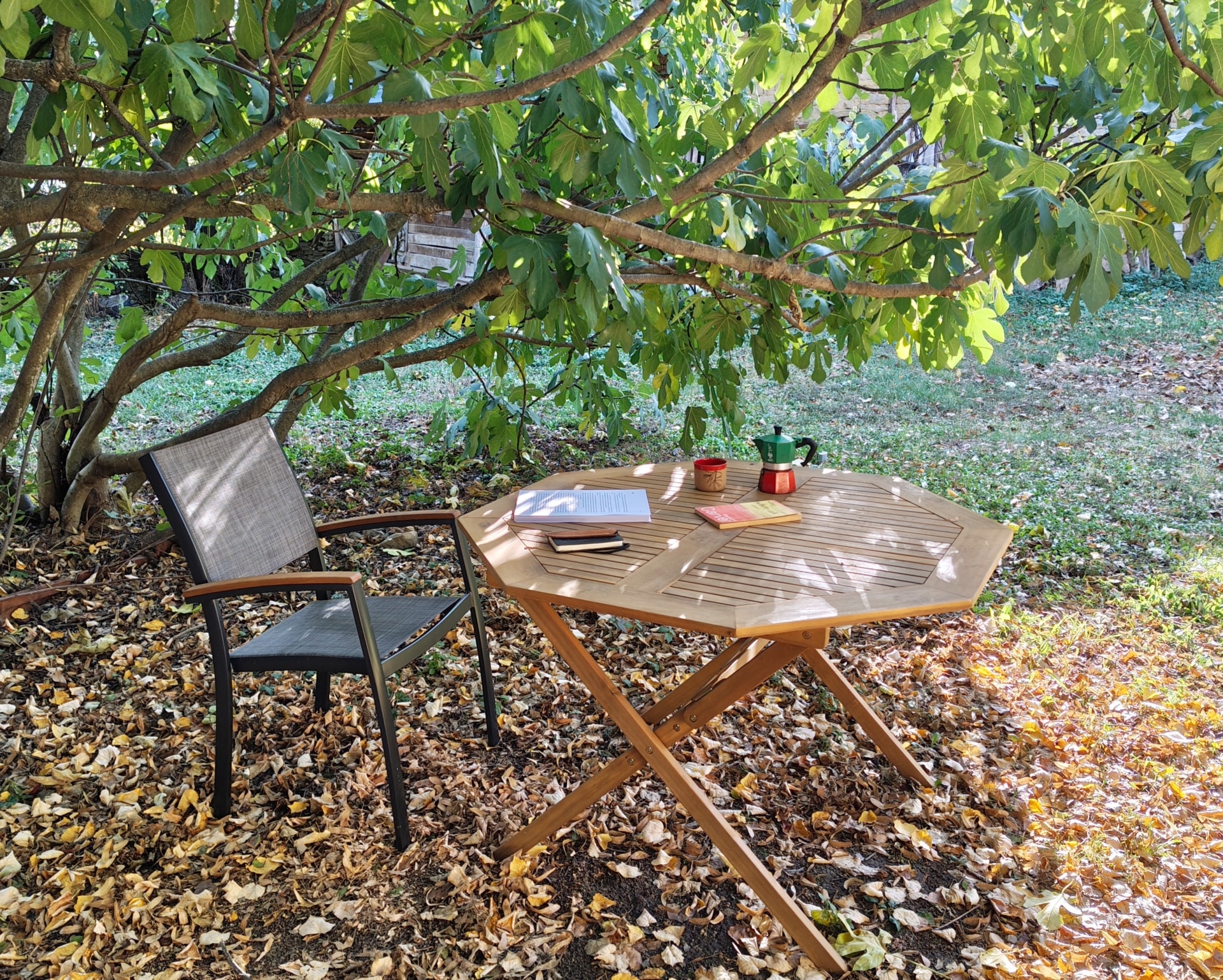 Writing notes, books and a coffee pot on a garden table beneath a leafy tree.